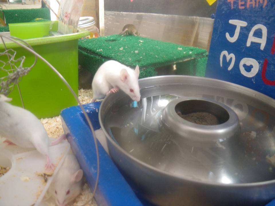 大きな四角いものの正体は...?の写真