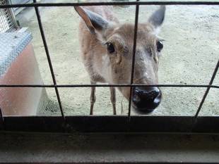 21歳になりました。
