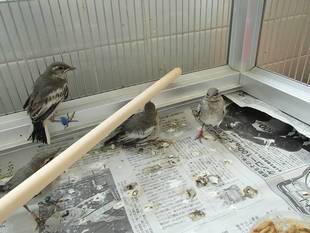 アンラッキーだけどハッピーエンド！