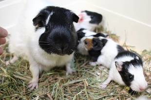 産まれました！