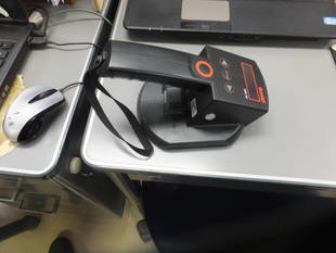 夏のカメ計測祭り