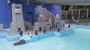 ペンギン宅の暑さ対策　新アイテム導入！