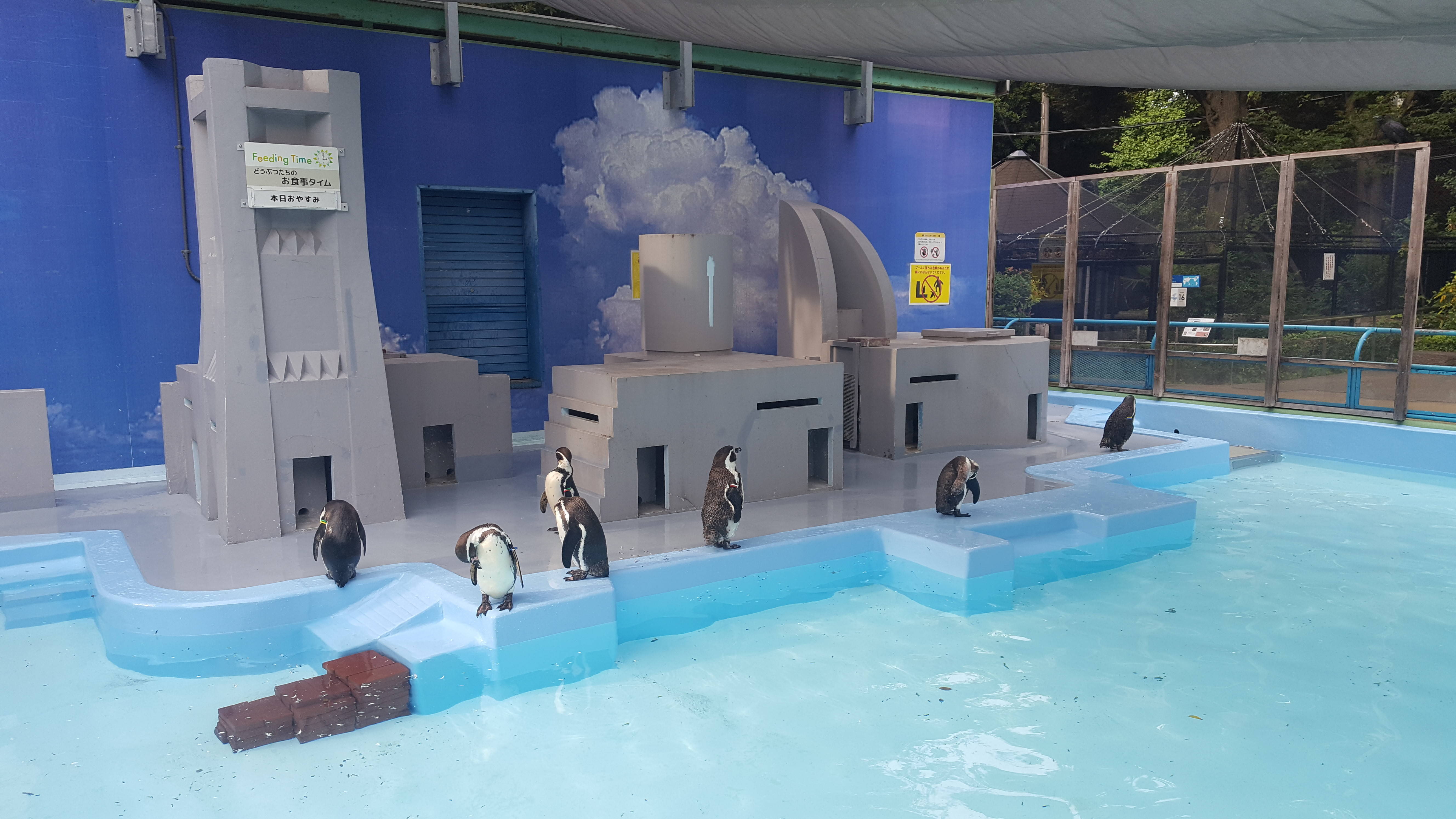 ペンギン宅の暑さ対策 新アイテム導入!の写真