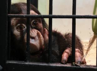 コウタロウ、2歳になる