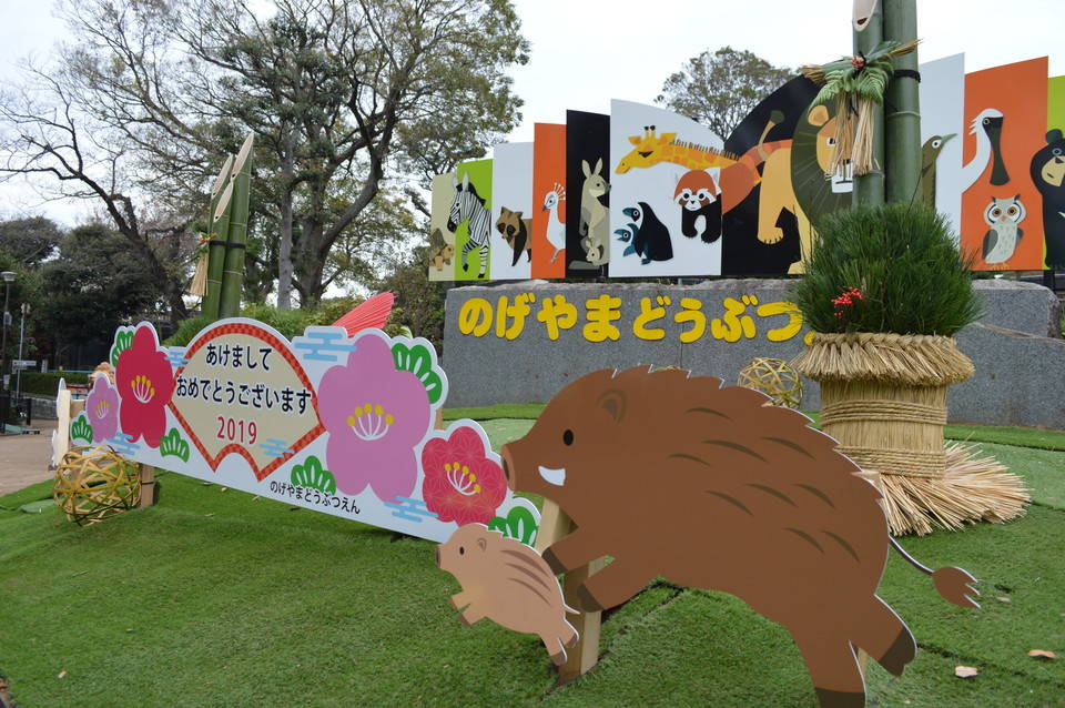 のげやまイベントトピックス~新年は2日から開園です~の写真