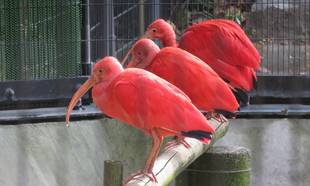 台風24号の爪痕