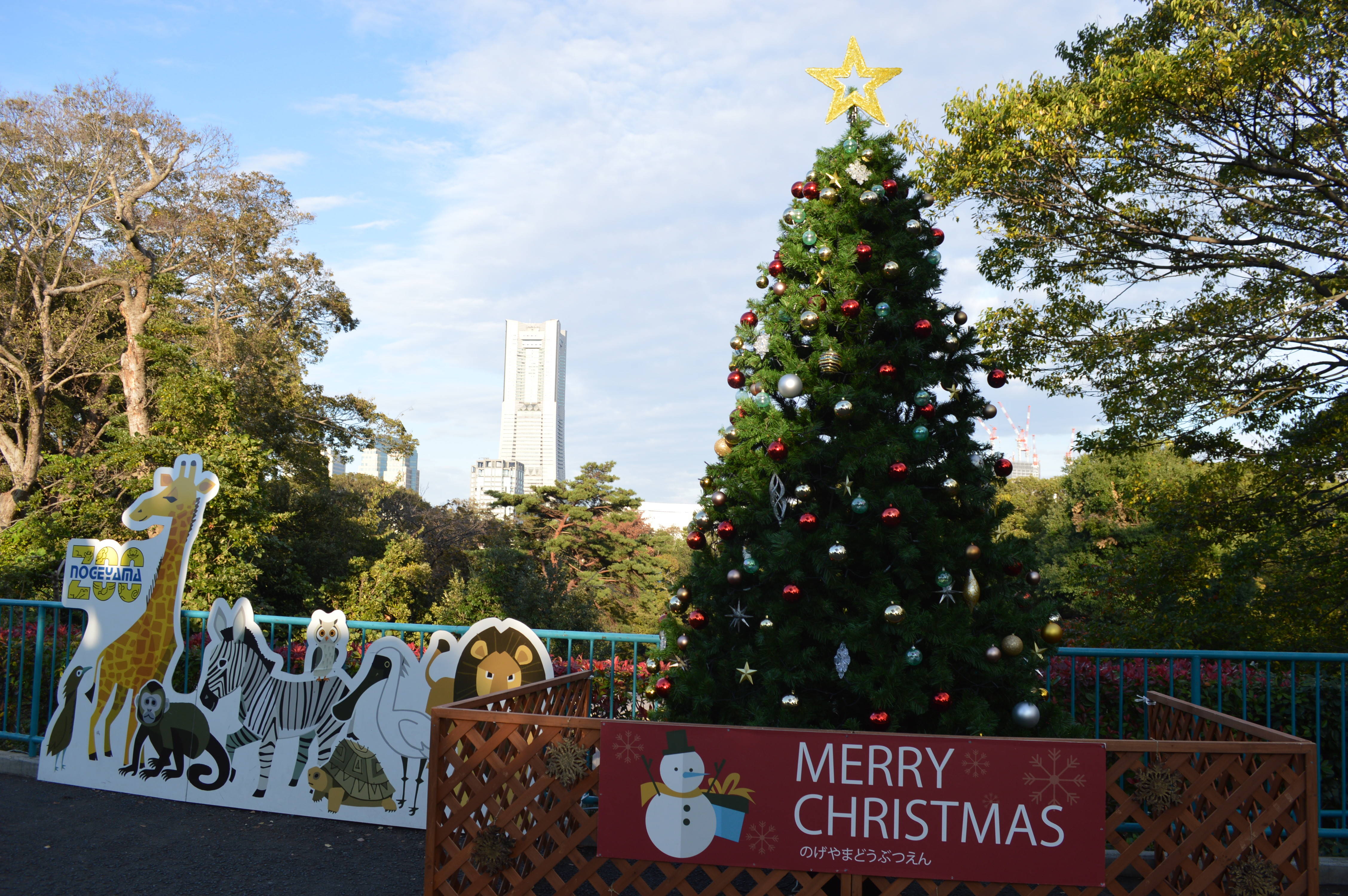 のげやまイベントトピックス~のげやまクリスマス②~の写真