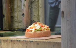 サンペイ&コマチ 19歳のお誕生会を開催しました!