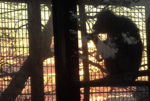 夕暮れ時のひととき