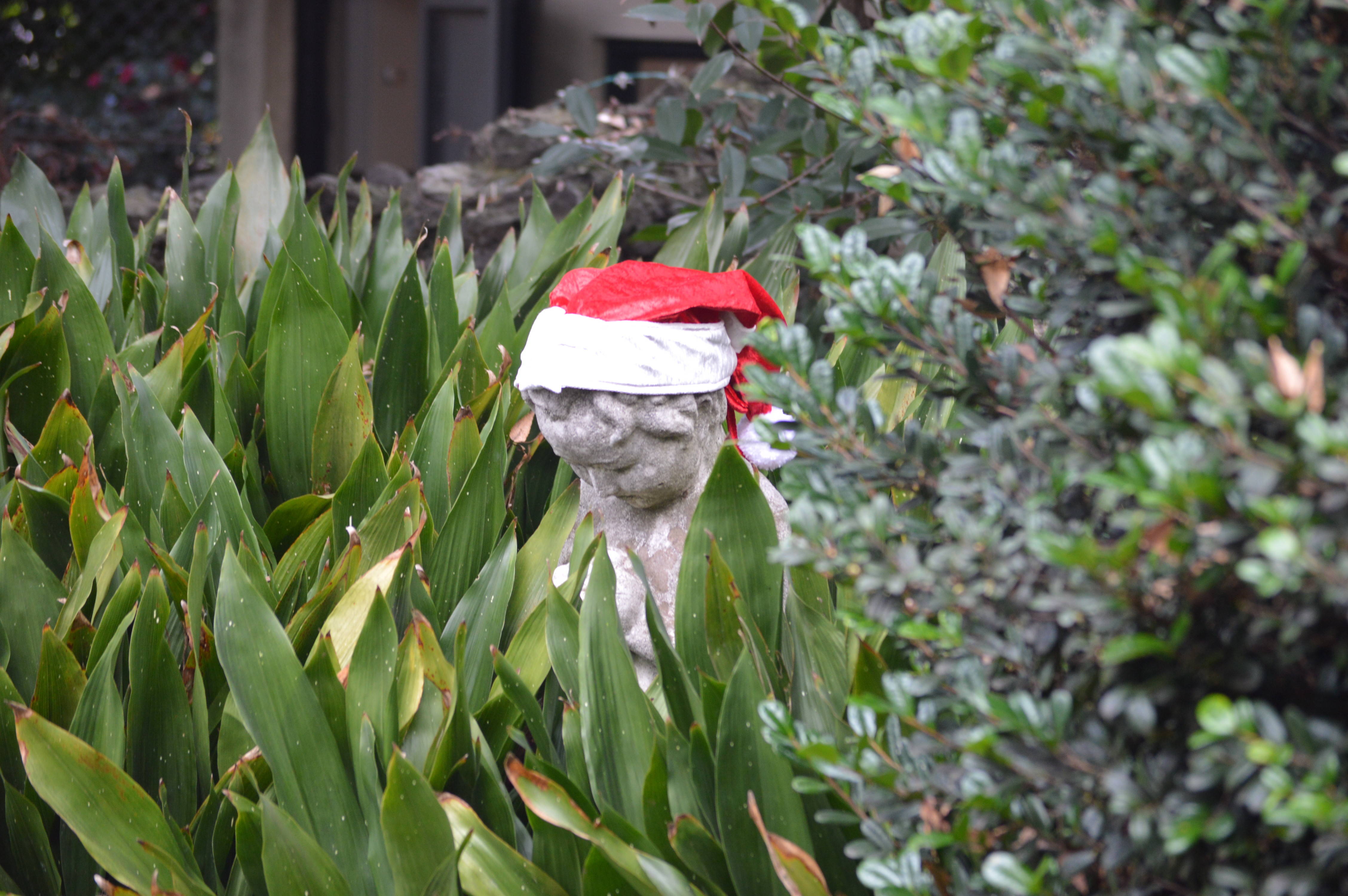 のげやまイベントトピックス~のげやまクリスマス①~の写真