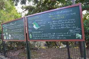 のげやまイベントトピックス～動物以外も見て楽し～