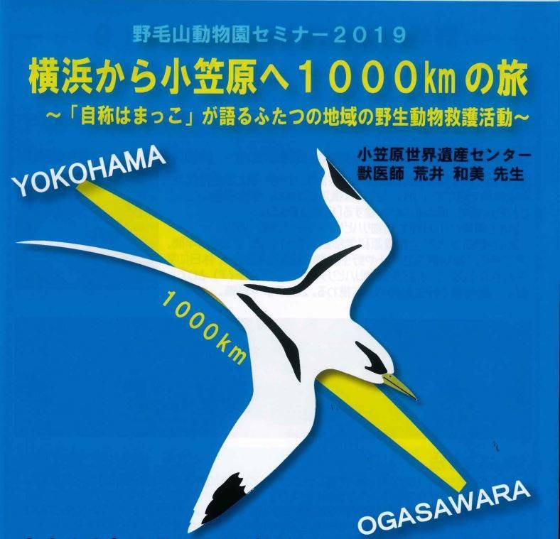 のげやまイベントトピックス ~バレンタインと小笠原~の写真