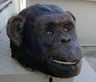 チンパンジーを作りました!(番外編)