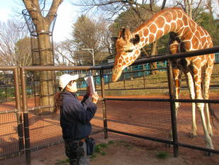 横浜で「キリン研究会」を開催しました