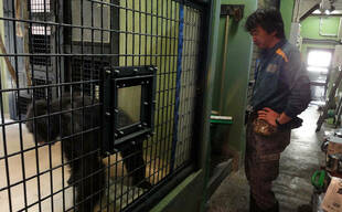 担当者が変わりました!