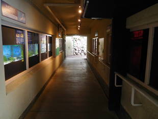 夜行獣・タナゴ舎をプチリニューアルしました