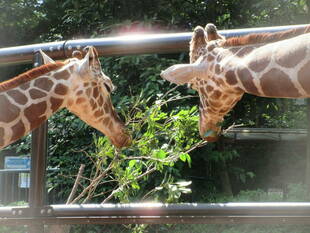 美味し~い♪の顔が見たいから