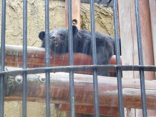5月21日大雨 その1