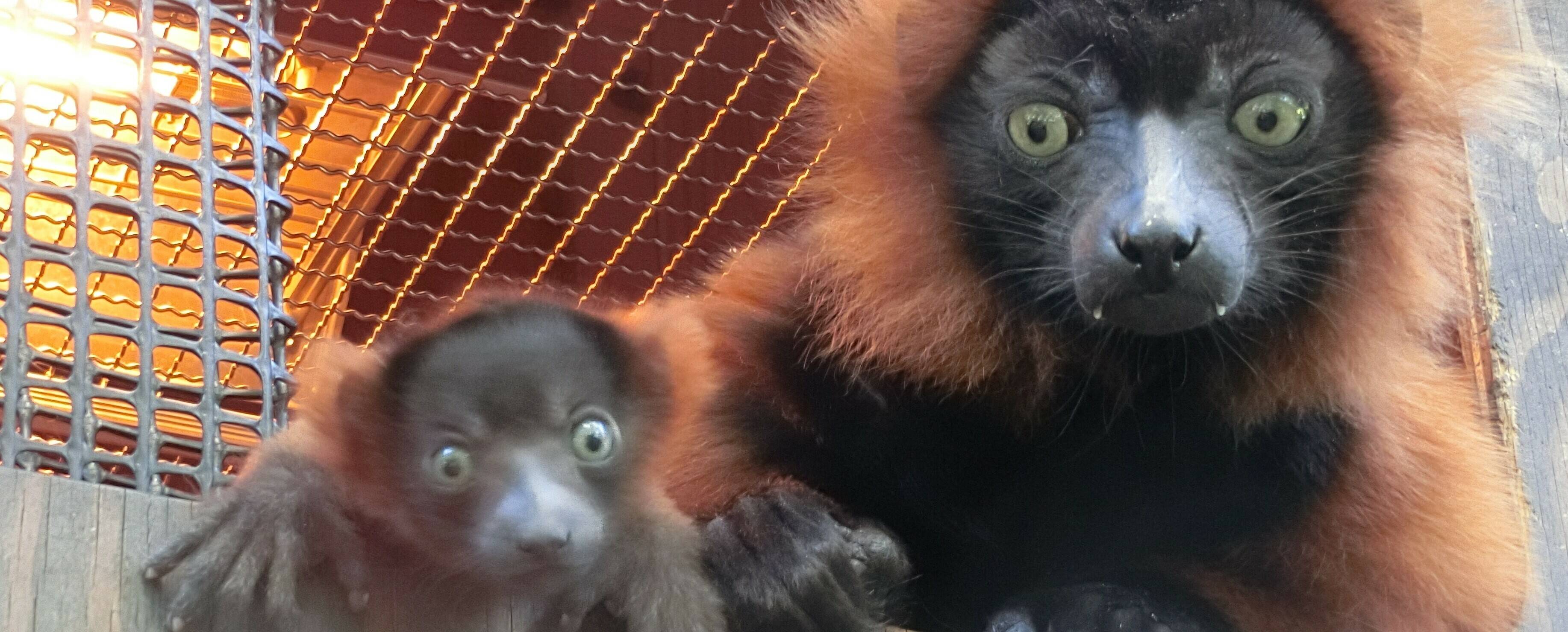 赤ちゃんが生まれました!の写真