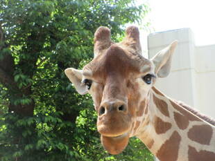 続・美味し~い♪顔が見たいから!