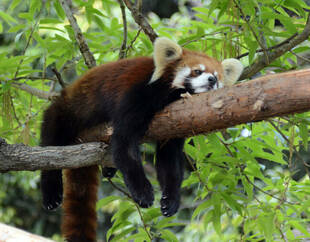 ゆううつな季節がやってきました