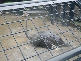 5月21日大雨 その2