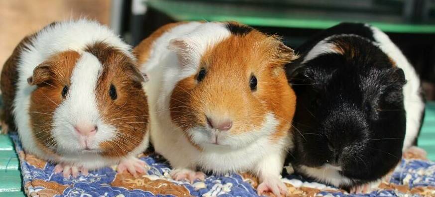 今日は何の日?~6月16日~の写真