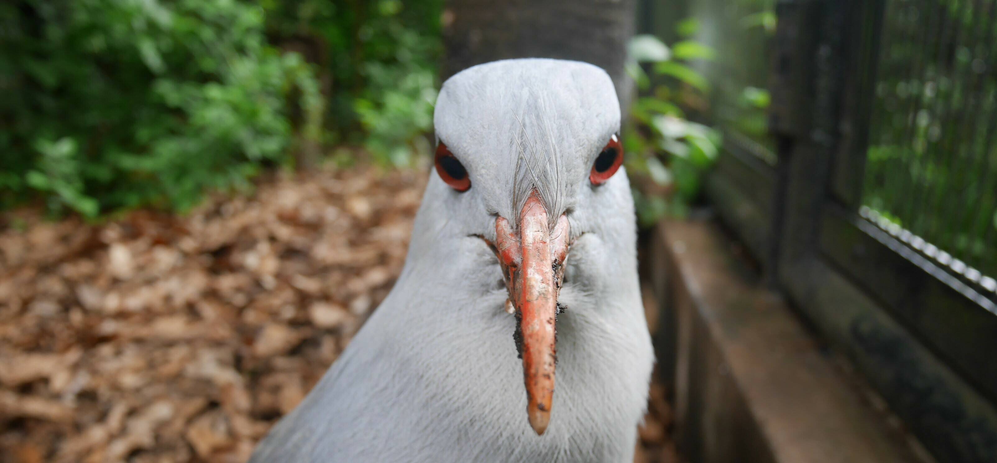 カグーに認めてもらうまで...の写真