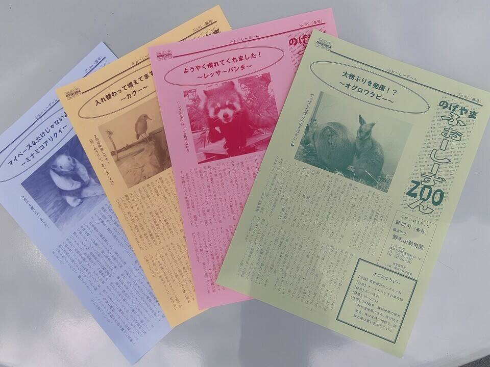 「ふぉ~し~ず~んも要チェック!」の写真