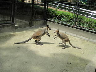 何をしているところでしょう？