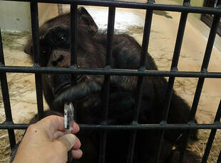 ピーコさんのくつろぎタイム