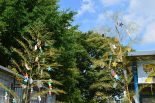 のげやま七夕イベント開催中！