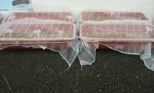 動物園で野菜を植えてみよう！！