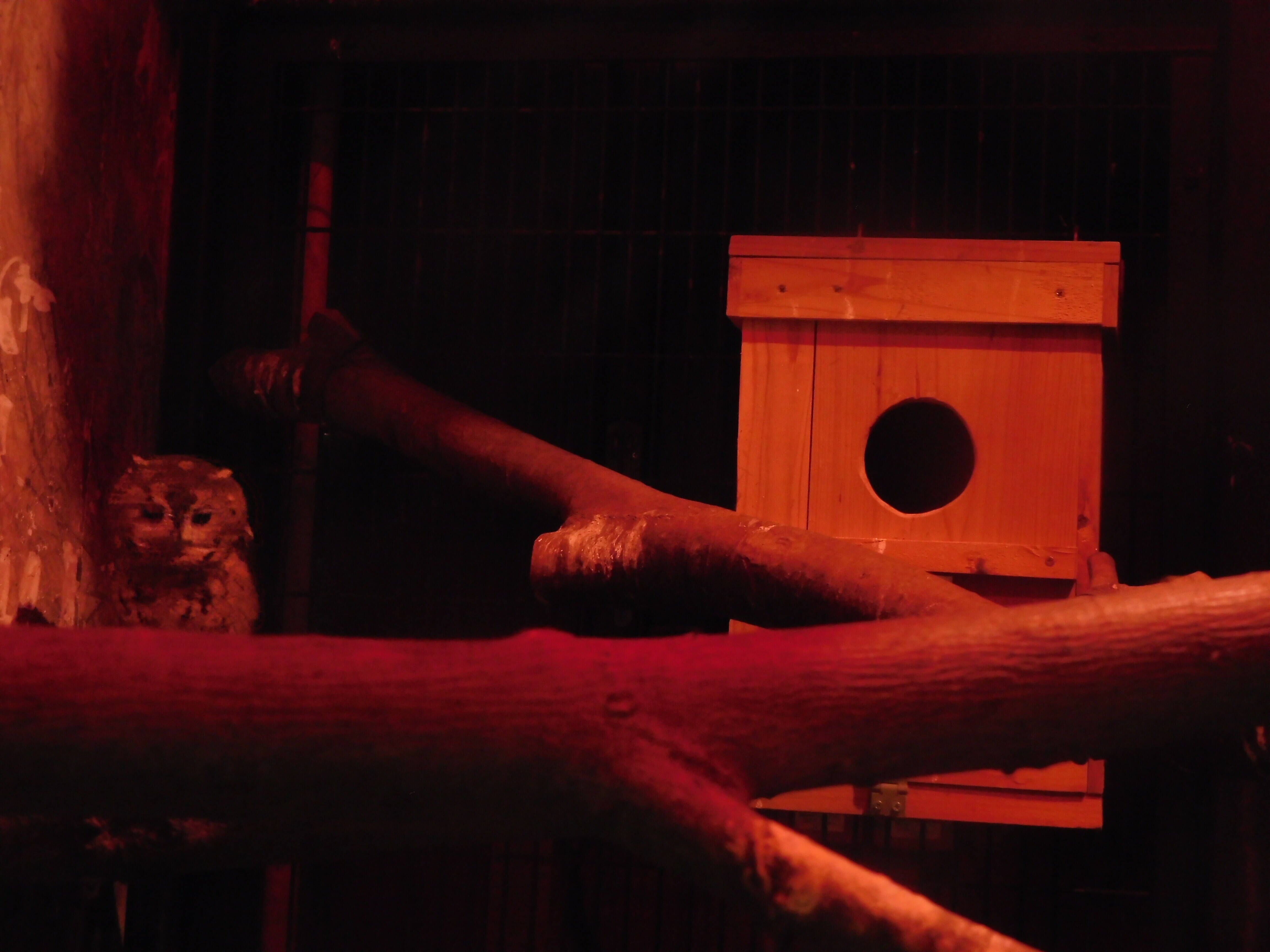 夜行獣舎のガラスがピカピカにの写真