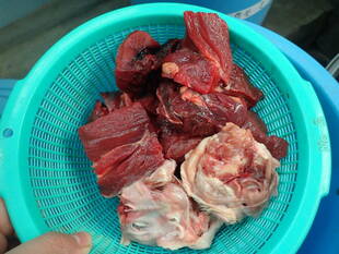 だれのえさでしょう？