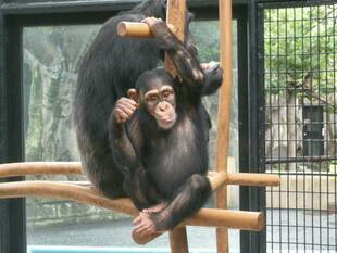 「7月14日は何の日？」