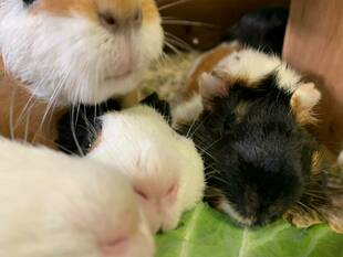 7月16日は何の日でしょう？