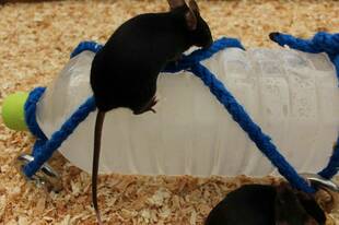 涼しく過ごしたい！