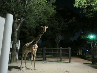 夏休みの宿題教室を開催!