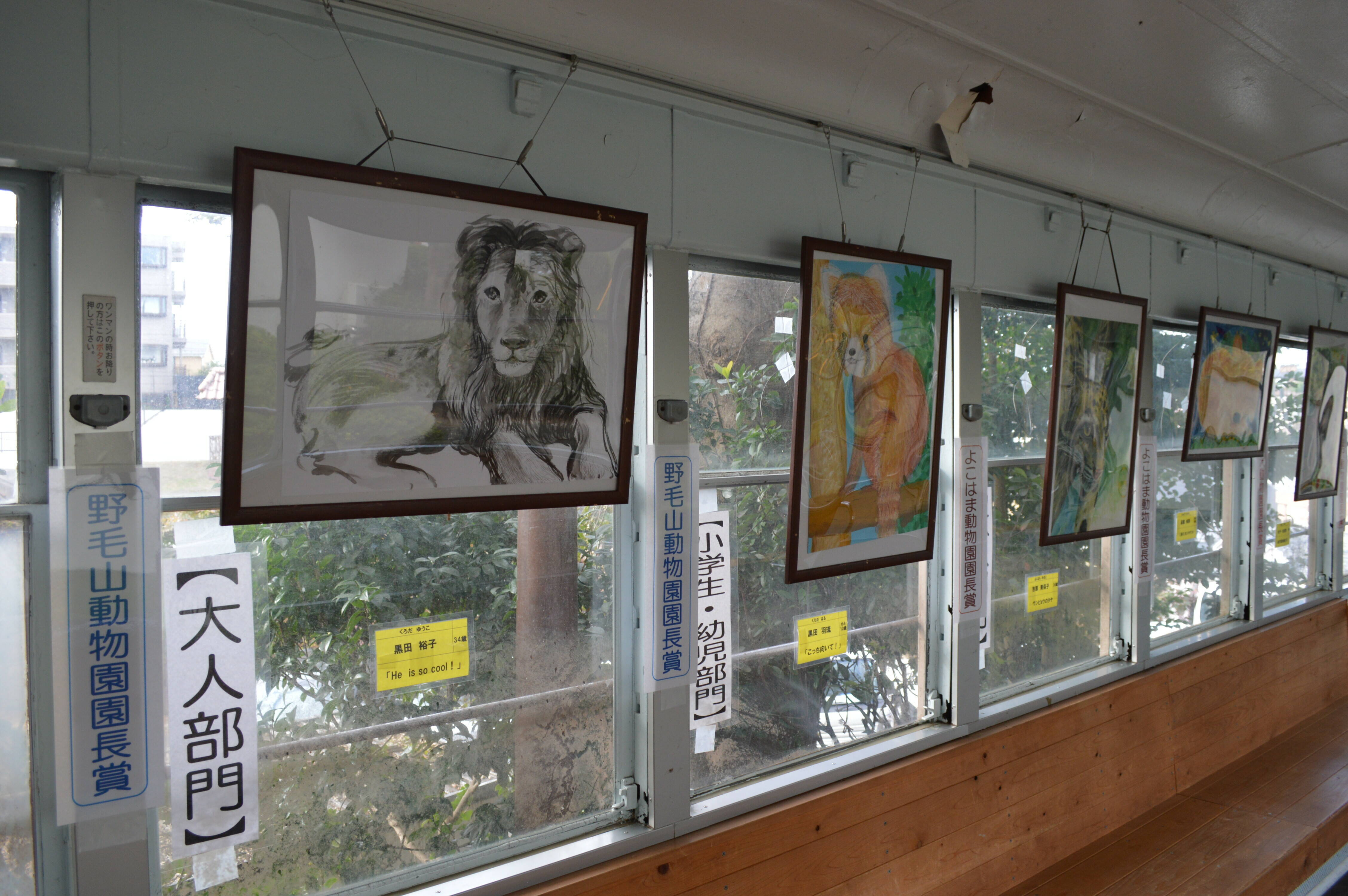 動物画コンクール作品募集中!の写真