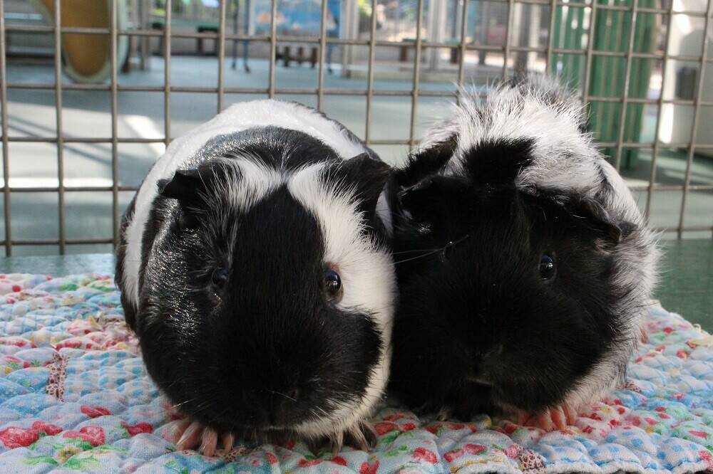 今日は何の日?~9月6日~の写真