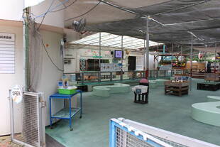 【なかよし広場のシークレット動物】