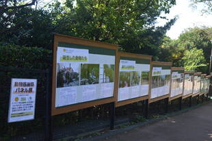 動物感謝祭を開催しました！