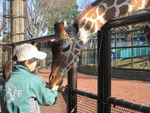 モミジも採血できました！！