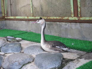 この季節ならではの・・・