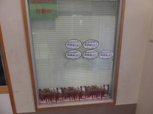 ヘサキリクガメ展示しました