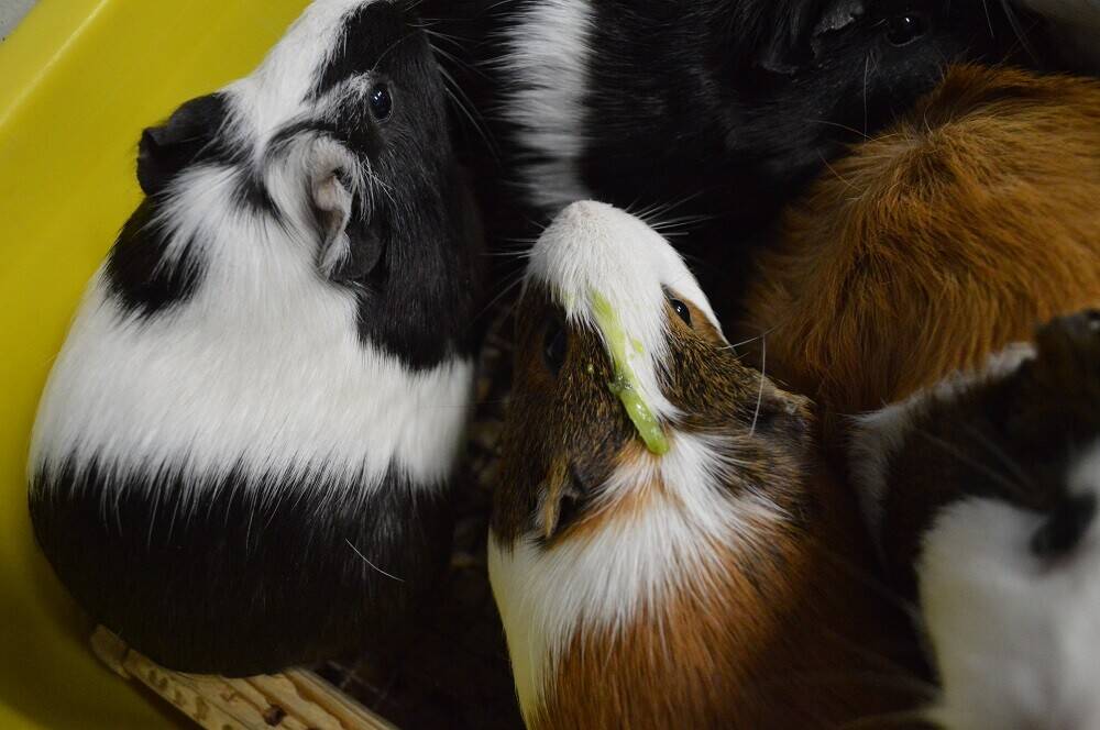 今日は何の日?~2月5日~の写真