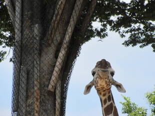 Happy Birthday！！そら