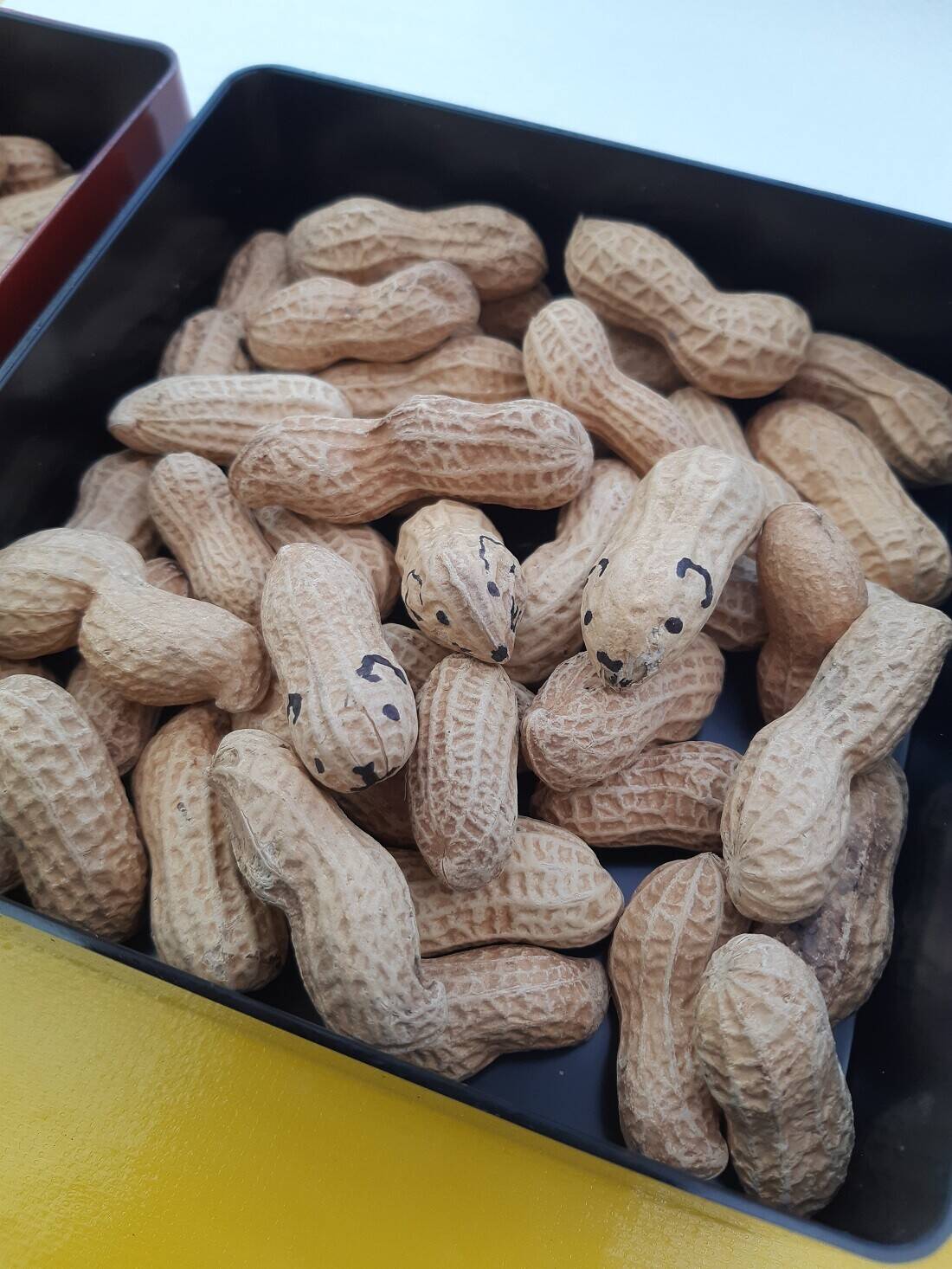 なかよし広場豆まき用落花生