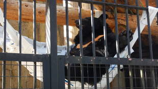 ハンモックでのんびりと